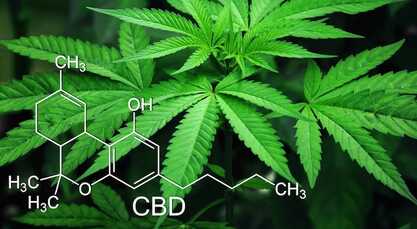 Cannabinoid Therapy