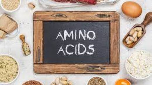 Amino Acids and Mood Regulation